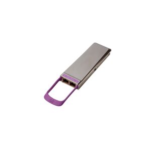 CPAK-100G-ER4L Datasheet