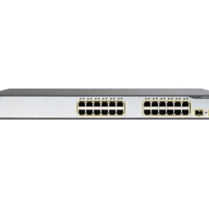 WS-C3750-24P-AP50